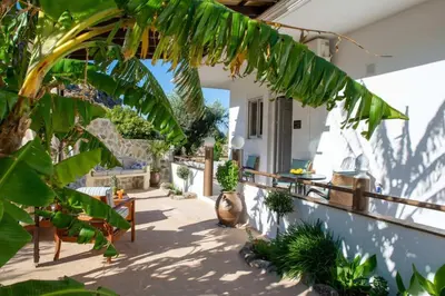 a patio with a bunch of green plants at Atlantic Cave Haven-Seaside, Fully Equipped in Kolimbia