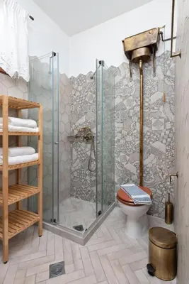 a bathroom with a shower and a toilet at Traditional House Leventis in Archangelos
