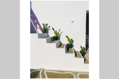 a row of potted plants on a wall at The Summer Pink House in Lachania