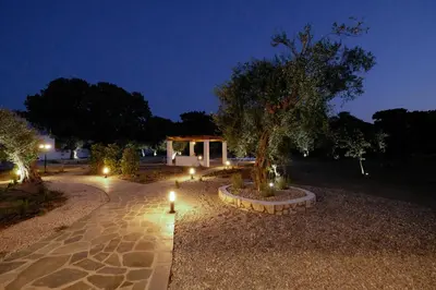 a park at night with a tree and lights at Elia Suites in Triánta