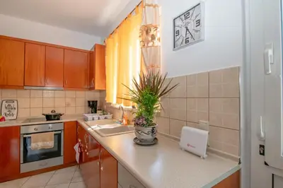 a kitchen with wooden cabinets and a plant on the counter at Rodini Sun Apartment in Rhodes Town