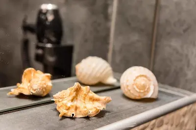 four peeled scallops sitting on a table at Megusta Suites in Theologos