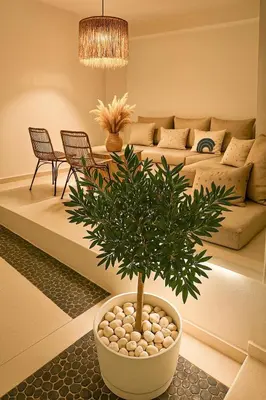 a potted tree in a living room with a couch at Heliareti Traditional House in Koskinou