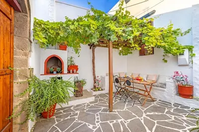 a patio with a table and a bunch of plants at Beautiful historic house in Koskinou