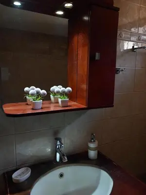 a bathroom sink with two potted plants on a shelf at Family room Rhodes Greece in Ialyssos