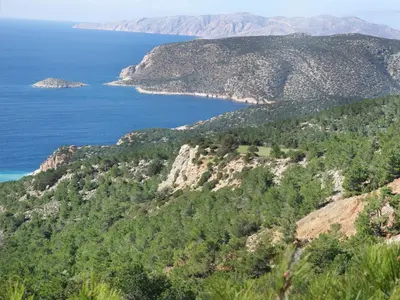 a view of the ocean from a hill with trees at Thomas Hotel in Monólithos