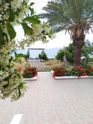 a garden with flowers and a palm tree and the ocean at Villa Stella Family House in Pefki Rhodes
