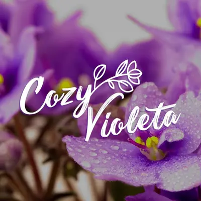 a purple flower with droplets of water on it at Cozy Violeta in Ialyssos