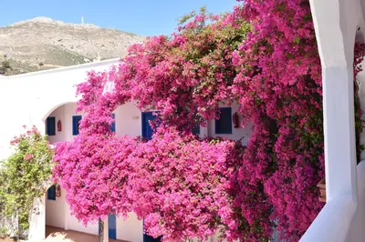 a white building with pink flowers on it at Boutique Hotel Tilos Mare in Livadia
