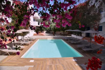 a swimming pool with a bunch of flowers above it at Boutique Hotel Tilos Mare in Livadia