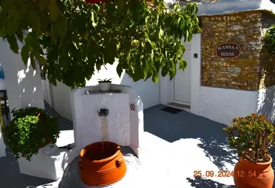 a house with a water fountain with two potted plants at Mannashouse in Émbonas