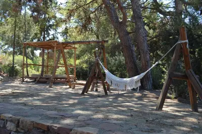 a hammock and a swing set in a park at Cook's Club Ialysos Rhodes in Ialyssos