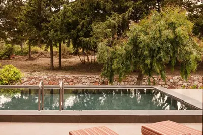a swimming pool in a yard with trees at Cook's Club Ialysos Rhodes in Ialyssos