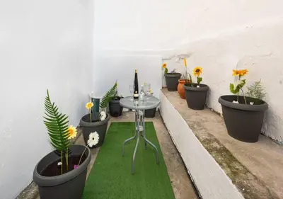 a group of potted plants in a room with a table at Emerald Dream House#Poiessa, Medieval Town in Rhodes Town