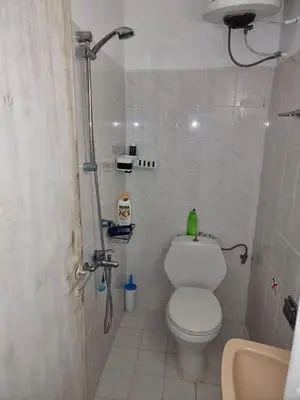 a small bathroom with a toilet and a shower at Soultana studios in Líndos