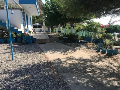 a yard with a lot of potted plants and a building at GALINI STEGNA BEACH in Archangelos