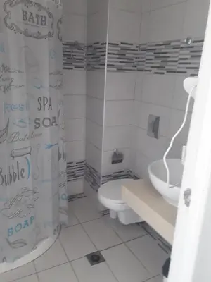 a bathroom with a toilet and a shower curtain at Pefki Irish Seaview in Pefki Rhodes