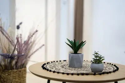 a table with two potted plants on it at Mousiko in Faliraki