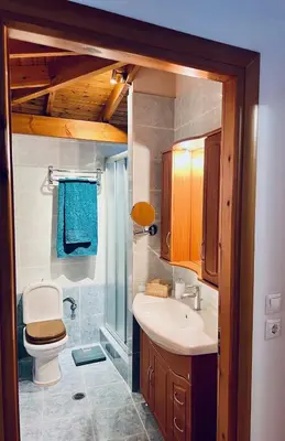a bathroom with a sink and a toilet and a shower at Thalassia Avra Stegna Beach in Archangelos