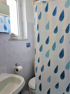 a bathroom with a shower curtain with blue leaves on it at Lefteris Apartments in Ialysos Rhodes in Ialyssos