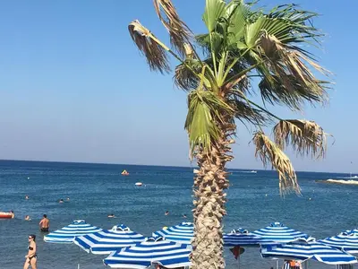 a palm tree on a beach with blue and white umbrellas at RHODIAN TREASURE Spiridione apartment in Rhodes Town