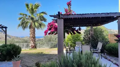 a pergola with chairs and flowers and a palm tree at Villa Selene in Archangelos
