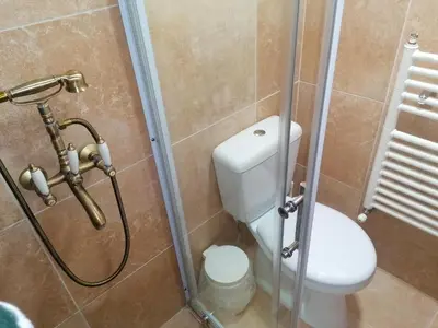 a bathroom with a toilet and a shower at Anastasia's Home in Émbonas