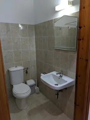 a bathroom with a toilet and a sink at Chrysa Apartments in Kolimbia
