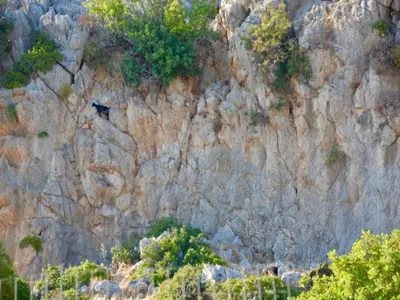 a black bird perched on the side of a rocky mountain at Villa in Rhodes with Infinity Pool in Kalithies