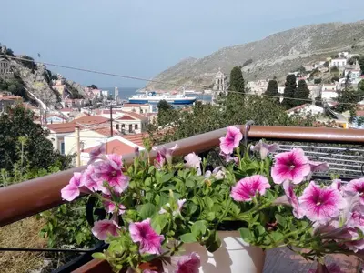 a pot of pink flowers on a balcony with a city at GRANDMA'S HOUSE in Symi