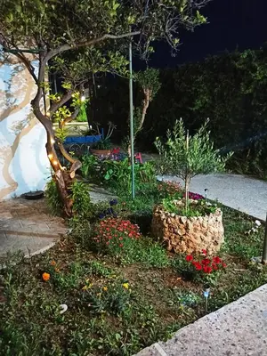 a garden with flowers in a park at night at CHAMBRE JAUNE in Ialyssos