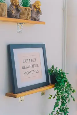 a picture frame on a shelf with a plant at Marvinas seaside apartments, GAIA apartment & HYDOR jacuzzi apartment in Kremasti