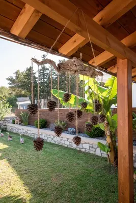 a group of potted plants hanging from a pergola at Searock Stegna Villa in Archangelos