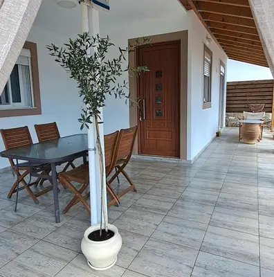 a potted tree in a vase on a patio at Searock Stegna Villa in Archangelos
