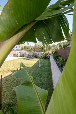 a child sitting in the grass under a large banana leaf at Searock Stegna Villa in Archangelos