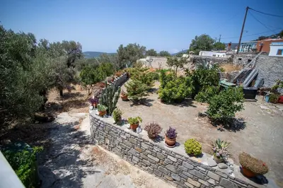 a retaining wall with plants and potted plants at Star Sianna Village Rooms to let in Siána