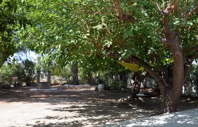 a park with a yellow hammock hanging from a tree at Spitaki - House with Garden by the Beach - Pefki in Pefki Rhodes
