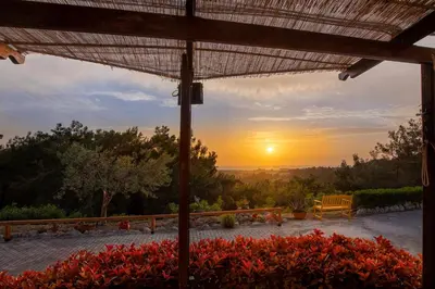 a sunset from a patio with a bench and flowers at Villa René in Koskinou