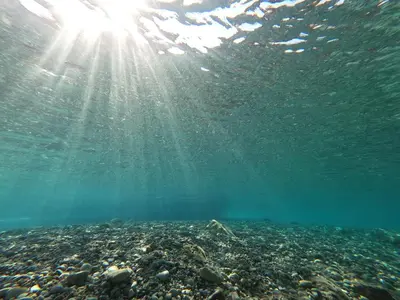 a view of the ocean with the sun shining through the water at Ktima Tzaneti - Coastal Farmhouse in Lachania