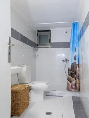 a bathroom with a toilet and a sink and a shower at Apartment Lazarous 1 in Apolakkiá