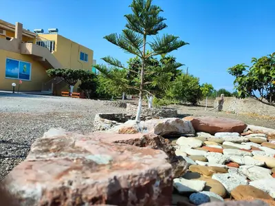 a rock garden with a tree in front of a building at East View Appartment (Thanasis 1) in Kalavárda