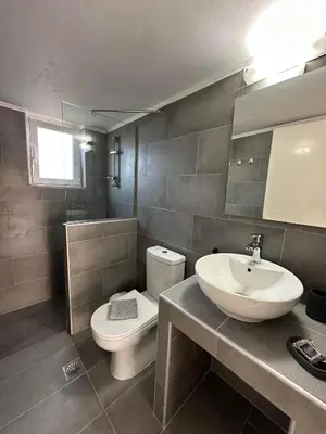 a bathroom with a white toilet and a sink at East View Appartment (Thanasis 1) in Kalavárda