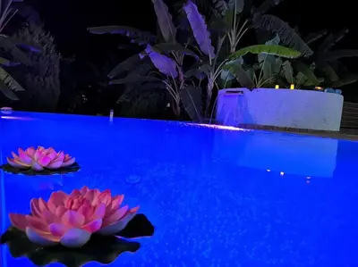 two pink water lilies in a blue pool at Valantas Garden Suite in Lardos