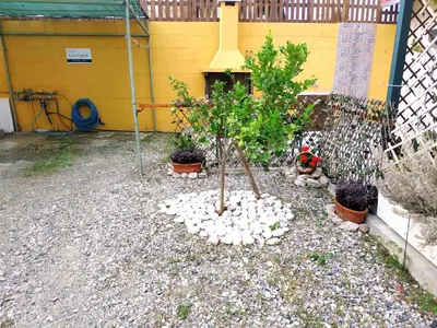 a small tree in a garden with rocks around it at Casa Georgia in Faliraki