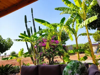 a couch in a garden with plants and flowers at G & M Beach House in Haraki