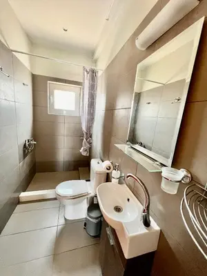 a bathroom with a white toilet and a sink at Vaso Beach Front Villa in Ialyssos