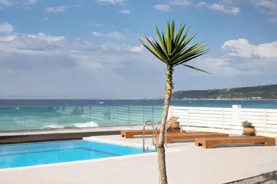 a palm tree sitting next to a swimming pool at Vaso Beach Front Villa in Ialyssos