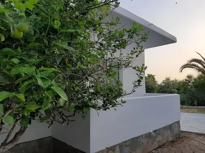 a white house with a bush next to it at Annika's Summer Dream in Livadia