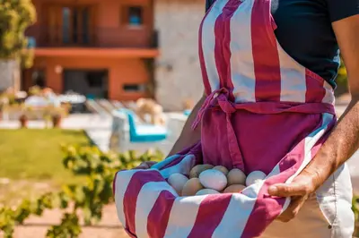a person holding a basket of eggs in apron at Wine & Vineyard Retreat Emarmene in Koskinou