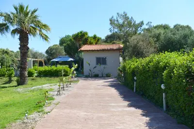 a path leading to a house with a palm tree at Jimmy's Pool House in Kremasti